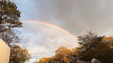 Rainbow arching over autumn trees beneath a cloudy sky